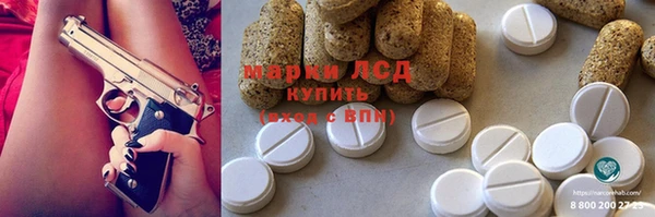 крисы Инта