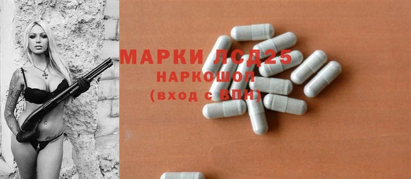 крисы Инта