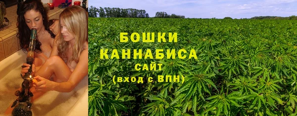 крисы Инта