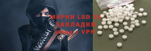 крисы Инта