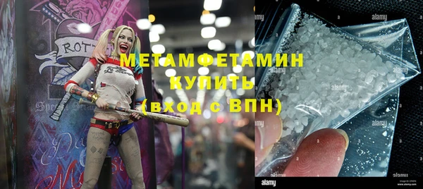крисы Инта
