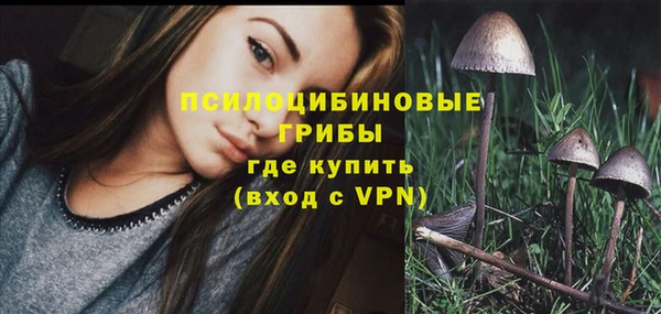 амф Инсар