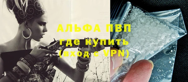 крисы Инта