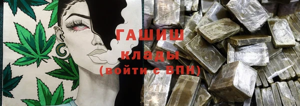 крисы Инта