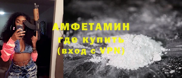 крисы Инта