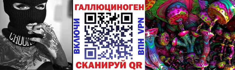 Купить закладки  Заводоуковск  Псилоцибиновые грибы Psilocybe 